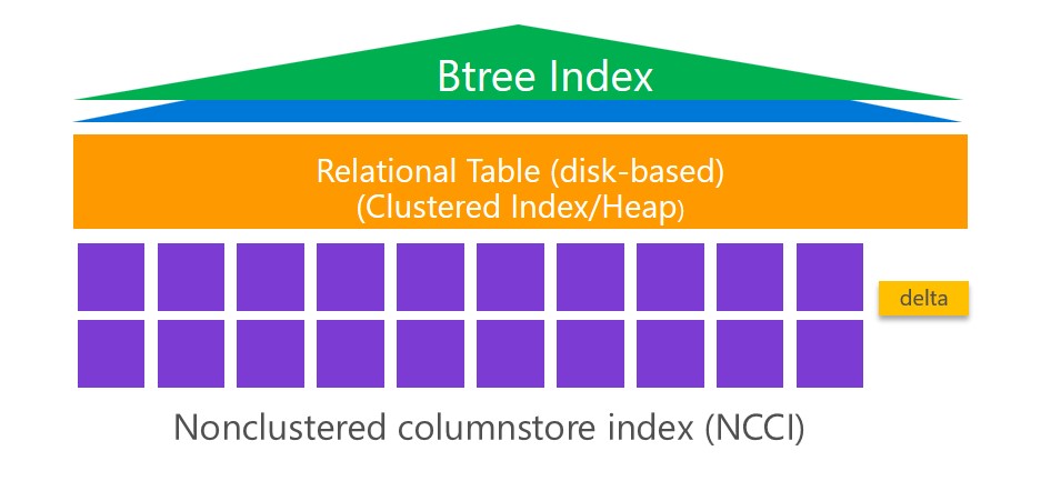 ncci-basic